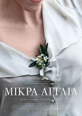 СӢӰȷ