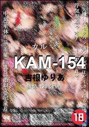 KAM-154torrent
