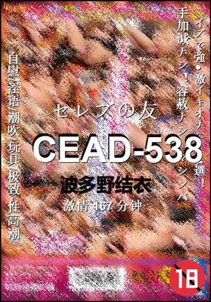 CEAD-538