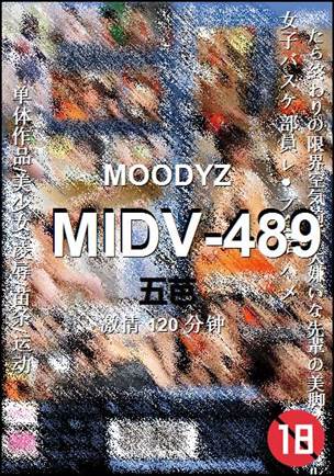 MIDV-489torrent
