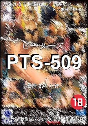 PTS-509torrent