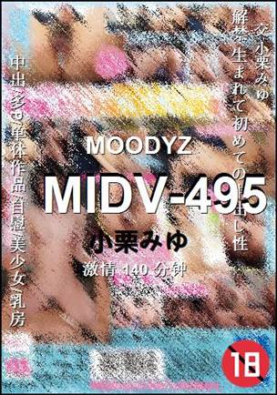 MIDV-495torrent