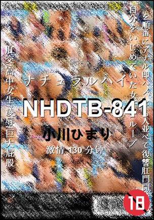 NHDTB-841torrent