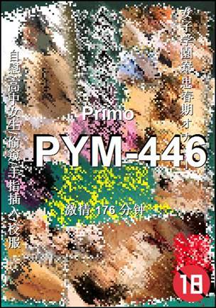 PYM-446torrent