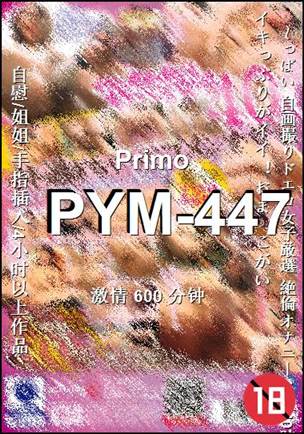 PYM-447torrent