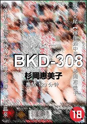 BKD-308torrent