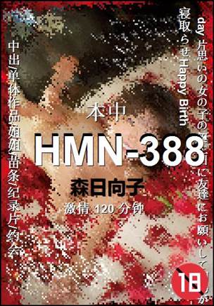 HMN-388torrent