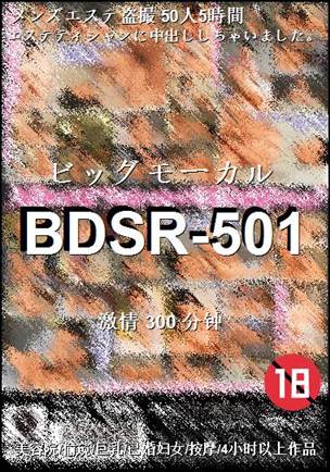 BDSR-501torrent