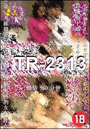 TR-2313torrent