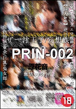 PRIN-002