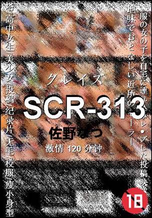 SCR-313torrent