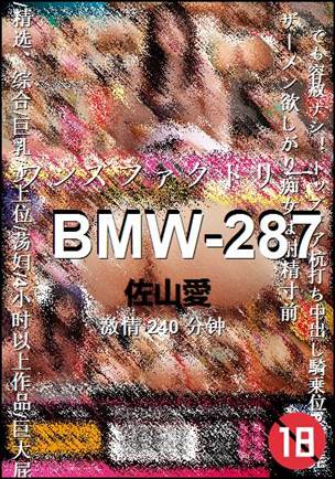 BMW-287torrent