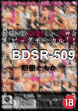 BDSR-509