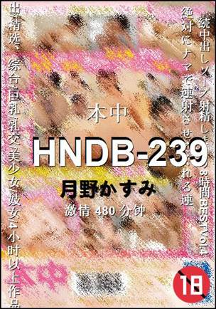 HNDB-239