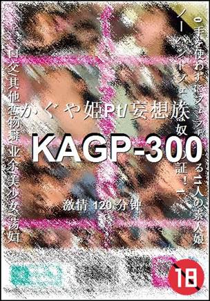 KAGP-300torrent