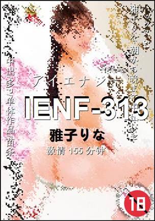 IENF-313