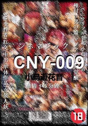 CNY-009torrent