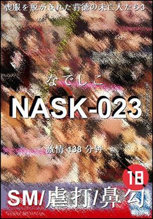 NASK-023torrent