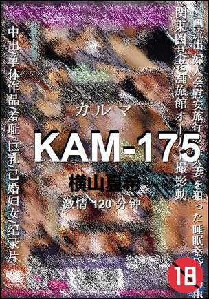 KAM-175torrent