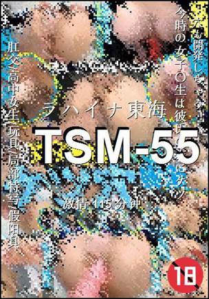 TSM-55torrent