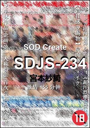 SDJS-234torrent