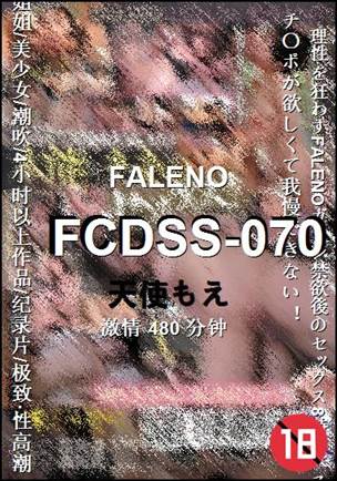 FCDSS-070torrent