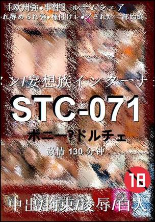 STC-071torrent