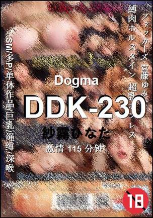 DDK-230torrent