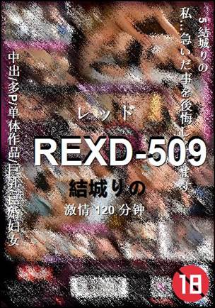 REXD-509torrent