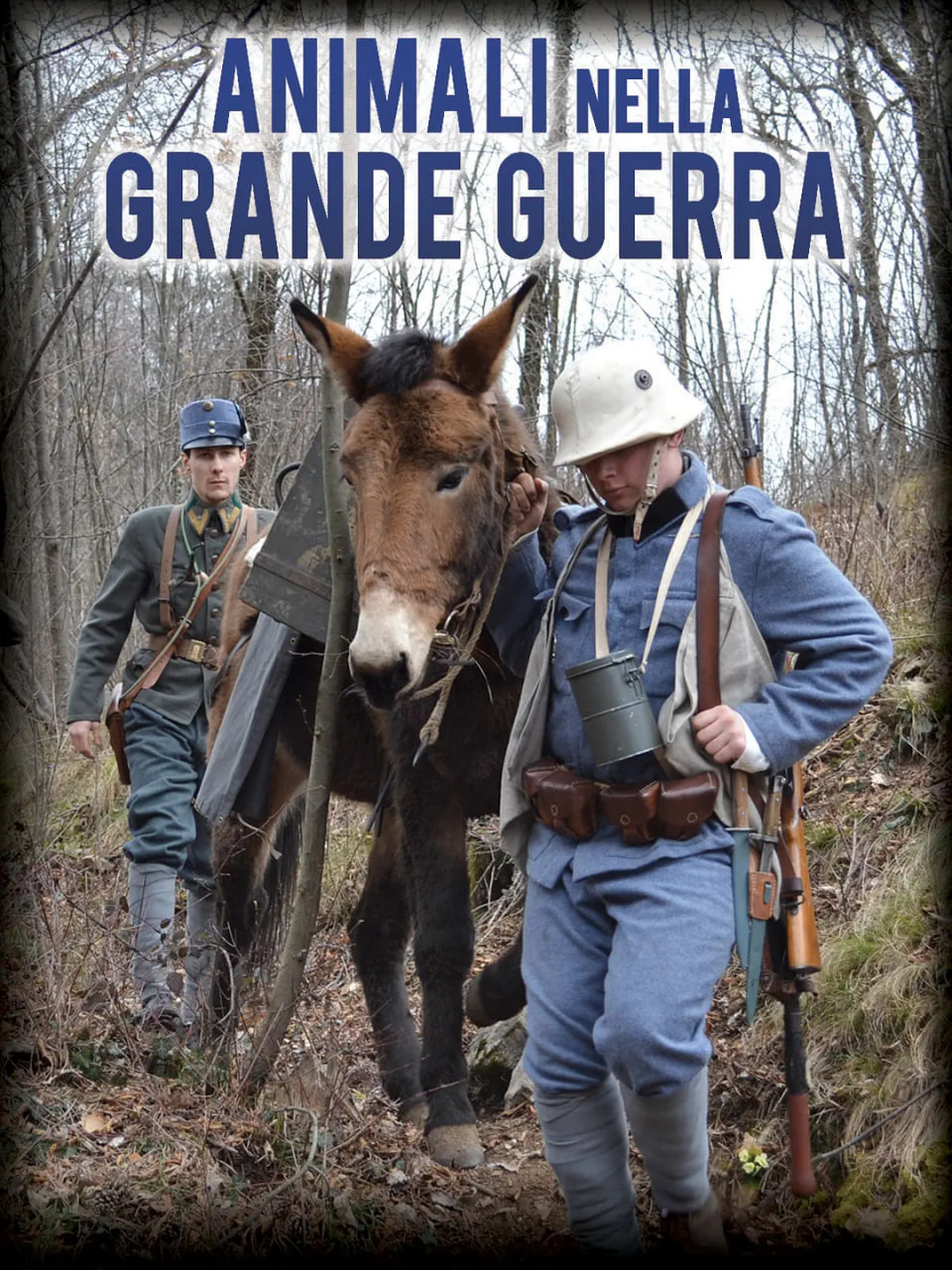 ս���еĶ���Ӱ���ȷ�