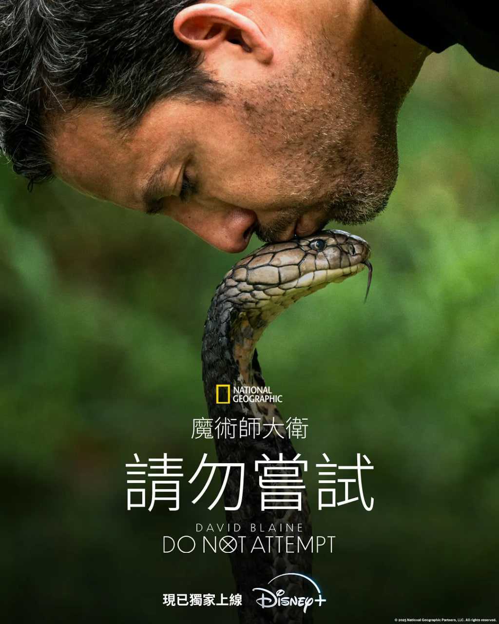 ׶:Ӱȷ