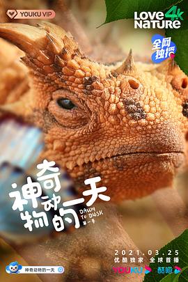 涯һһӰȷ