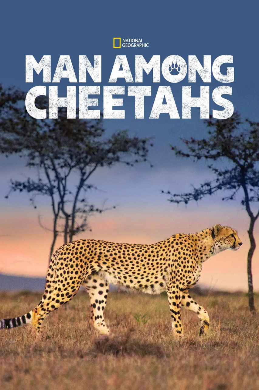 ΪĸǿӰȷ