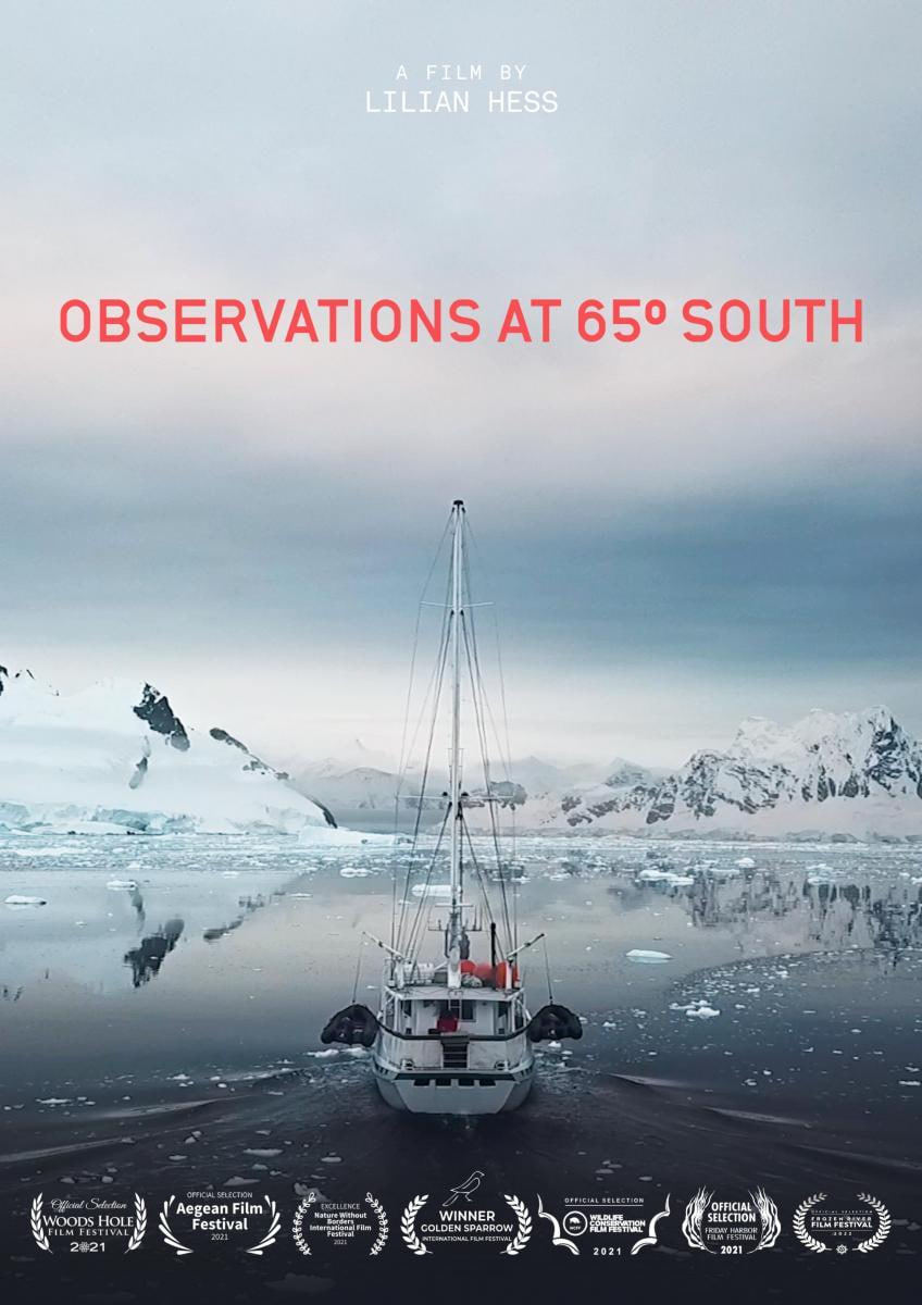 γ 65 Ĺ۲Ӱȷ