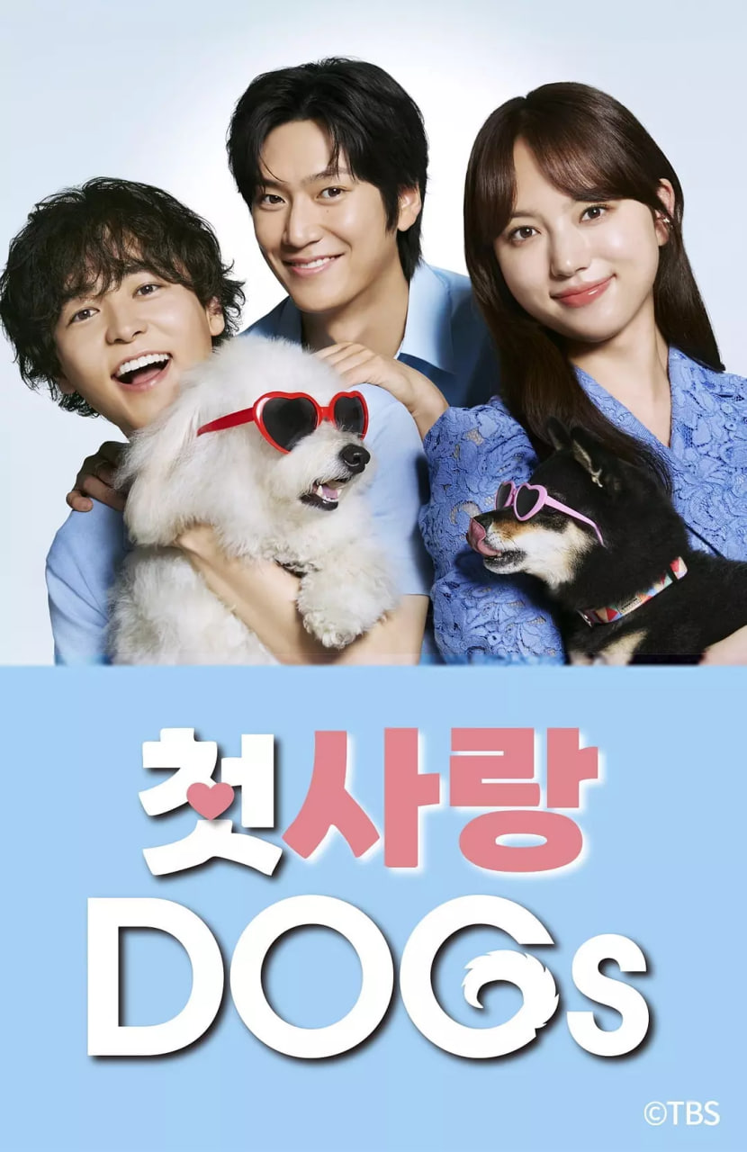 DOGsӰȷ